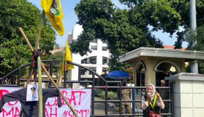 Pemerintah Diminta Tidak Berlebihan Tanggapi dan Pahami Substansi pada Bendera One Piece