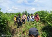 Olah TKP Kedua Kasus Pengrusakan Lahan di Bengkayang Dinilai Lambat