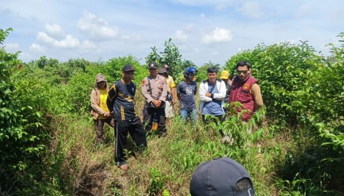 Olah TKP Kedua Kasus Pengrusakan Lahan di Bengkayang Dinilai Lambat