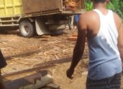 Gudang Kayu Ilegal di Desa Teratak Buluh Bebas Beroperasi, Diduga Setoran Lancar Ke Oknum Ninik Mamak dan Oknum APH