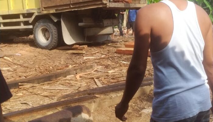 Gudang Kayu Ilegal di Desa Teratak Buluh Bebas Beroperasi, Diduga Setoran Lancar Ke Oknum Ninik Mamak dan Oknum APH