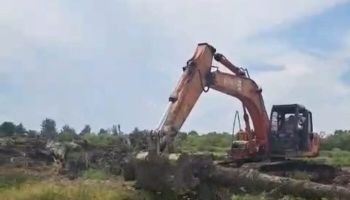 Polda Sumut Diminta Selamatkan Lahan Milik Negara dari Residivis Nakko Sitanggang di Sergai