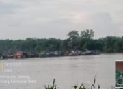 Instruksi Mabes Polri di Abaikan? PETI di Sungai Kapuas Sintang Terus Beroperasi, APH Tutup Mata