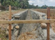 Ketua Ormas LAKI Menyoroti Dugaan Proyek Siluman Tanpa Papan Nama Proyek di Desa Paya Gaboh Kecamatan Idi Tunong
