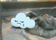 Nahas, Pria Diduga Jadi Korban Begal di Jalan Balekambang Jayabakti, Cabangbungin