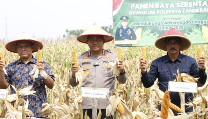 Dukung Asta Cita Presiden, Kapolresta Tangerang Panen Jagung Serentak Program Ketahanan Pangan