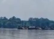 50 Lanting PETI Beroperasi di Sekadau, Warga Pertanyakan Komitmen Polda Kalbar
