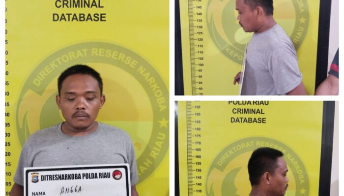 Polda Riau Gagalkan Peredaran Sabu Tujuan Sumatera Barat