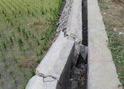 Baru Selesai Dibangun, Irigasi P3-TGAI di Bojongmanik Sudah Ambruk — Diduga Asal Jadi dan Minim Pengawasan