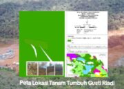 Pemilik Tanaman Tumbuh di MBB1 Geram Lihat Tanaman Dirusak PT Vale
