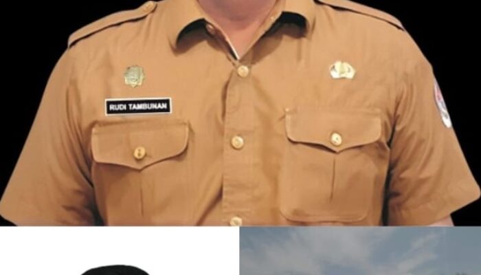 Pelantikan 4.000 PPPK Paruh Waktu Resmi Ditunda, BKPSDM: Sabar, Proses Tetap Berlanjut!