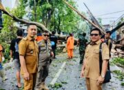 Pohon Tumbang Tutup Akses Jalan di Jombang Raya, Pondok Aren Akibat Hujan Deras dan Angin Kencang