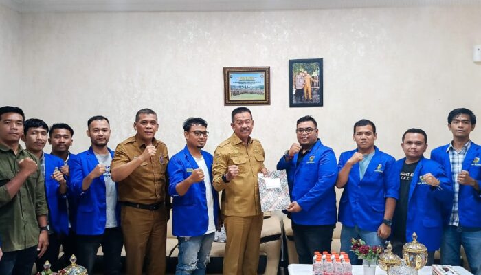 KNPI Madina Menyapa Bupati: Mendorong Kepemimpinan dan Inovasi Pemuda Madina”