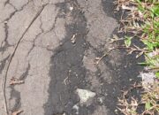 Proyek Jalan Desa Giri Jagabaya Diduga Sarat Permainan, Tipidkor Diminta Turun Tangan