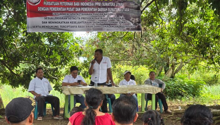 Peternak Babi Harap Pemerintah Salurkan Vaksin ASF Gratis