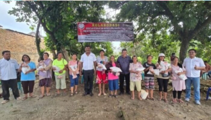 Dukung Ketahanan Pangan, Pemerintah Diminta Cepat Atasi Penyebaran Flu Babi