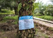 Proyek Pembangunan Jalan Poros Kabupaten Rabat Beton Di Desa Margaluyu Diduga Tidak Sesuai Dan Tidak Transparan 