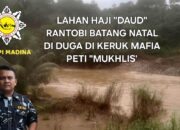Satma AMPI Madina Bongkar Keluhan Warga, Lahan diKeruk PETI, Muklis di Catut Pemainnya.
