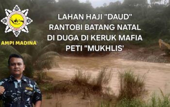 Satma AMPI Madina Bongkar Keluhan Warga, Lahan diKeruk PETI, Muklis di Catut Pemainnya.