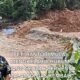 SATMA AMPI Madina: Mafia Tambang Rantobi Mengelabui Publik, Siang Pura-pura Tutup Malam Gas Alat Berat”