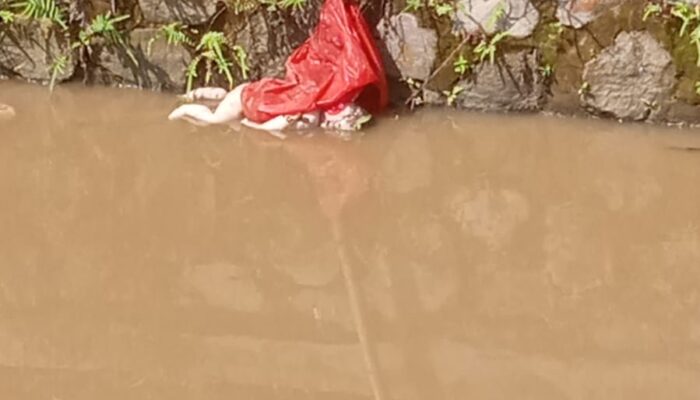 Warga Cibitung Di Gegerkan penemuan Mayat Bayi Ditemukan Mengapung di Kali CBL