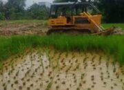 Proyek Perataan Lahan Milik Citra Panongan Dikeluhkan Warga Minta Konvensasi dan Biaya Kebisingan