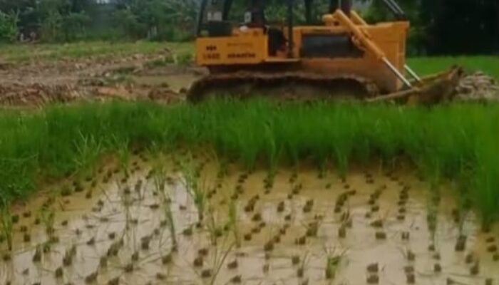 Proyek Perataan Lahan Milik Citra Panongan Dikeluhkan Warga Minta Konvensasi dan Biaya Kebisingan