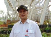 Kepala DKP3 Tangsel Sampaikan Ucapan Selamat Tahun Baru 2026