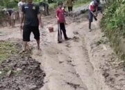 Warga Gotong Royong Perbaiki Jalan Poros Desa Jayamanik, Kekesalan terhadap Pemerintah Kian Memuncak