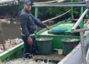 Subdit Gakkum Ditpolair Polda Sulsel Amankan Nelayan Pemburu Penyu Dilindungi di Perairan Takalar