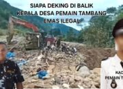 PETI Diduga Seret Nama Oknum Kades, Bendahara SATMA AMPI Madina Desak Kapolres Baru Turun Tangan