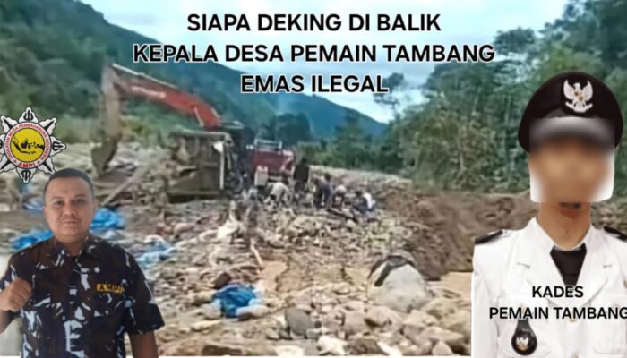 PETI Diduga Seret Nama Oknum Kades, Bendahara SATMA AMPI Madina Desak Kapolres Baru Turun Tangan