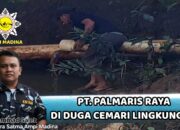 PMKS PT Palmaris Raya Diduga Cemari Lingkungan, SATMA AMPI Madina Harap Kapolres Baru Bertindak Tegas