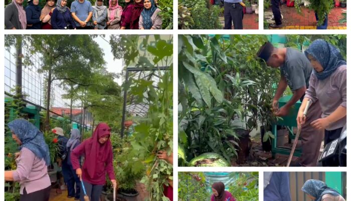 Lurah Jurang Mangu Timur Luangkan Waktu Kerja Bakti Bersama Kader PKK di Green House Kelurahan