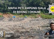 PETI Terang-Terangan di Batang Natal, Toke Irhan Diduga Kebal Hukum