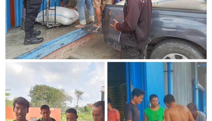 Polres Batu Bara Salurkan Hasil Panen Jagung ke Bulog Asahan, Dukung Ketahanan Pangan