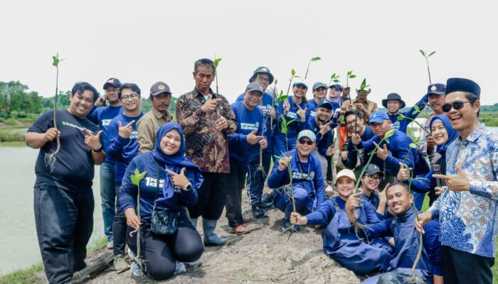 SUCOFINDO Tanam 5.000 Bibit Mangrove di Muara Benting, Wujud Komitmen ESG dan Pembangunan Berkelanjutan