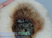 Program Unggulan Prabowo Subianto Dipertanyakan Akibat Adanya Menu MBG Diduga Busuk dan Tak Sesuai Harga,