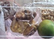 Tak Memenuhi Standar Gizi, Menu MBG Siswa TK Desa Nepa Sampang Dikeluhkan Wali Murid