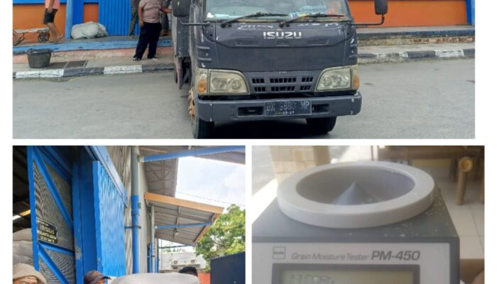 Polres Batu Bara Salurkan Panen Jagung Sebanyak 72 Ton ke Bulog Asahan